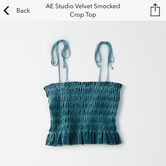 American Eagle Outfitters Tops - American Eagle Teal Velvet Smocked Tube Top
